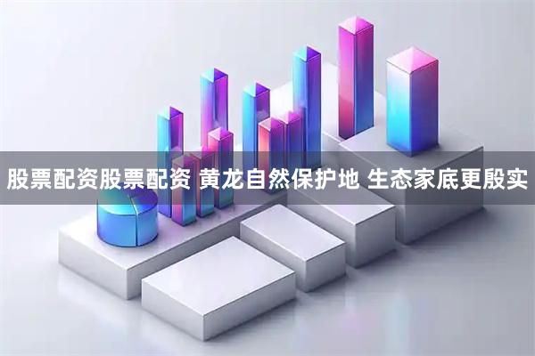股票配资股票配资 黄龙自然保护地 生态家底更殷实